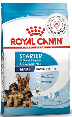 Royal Canin Maxi Starter, Mother & Babydog Food, 1 Kg, Dry Food, Supports Complex Natural Defence & digestive health, Provides Gestation/Lactation Support, Supports Easy rehydration